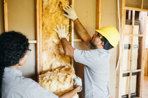 Best Attic Insulation Installation  in Boulevard Gardens, FL